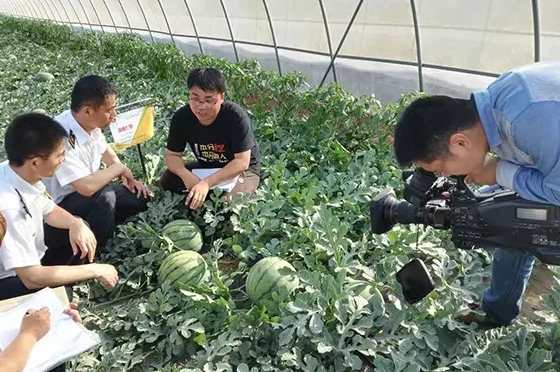 寒流无情，农大和bb贝博艾弗森官方网站有爱