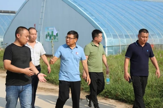本分bb贝博艾弗森官方网站 助力农业发展提质增效