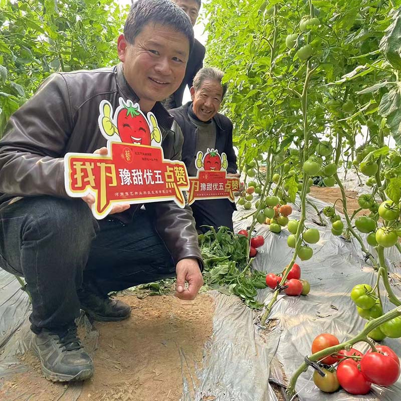 bb贝博艾弗森官方网站优五