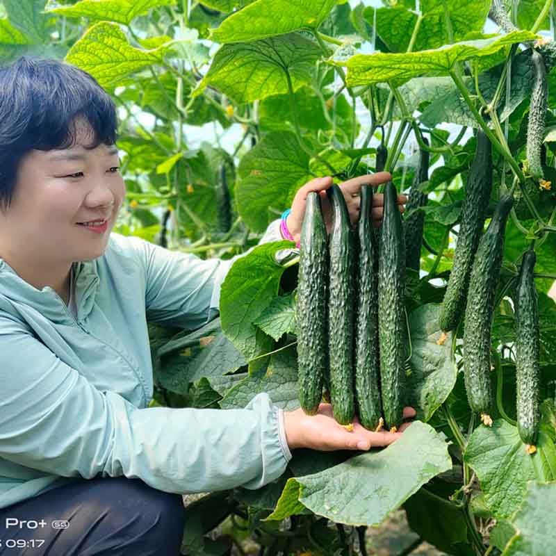 黑优901