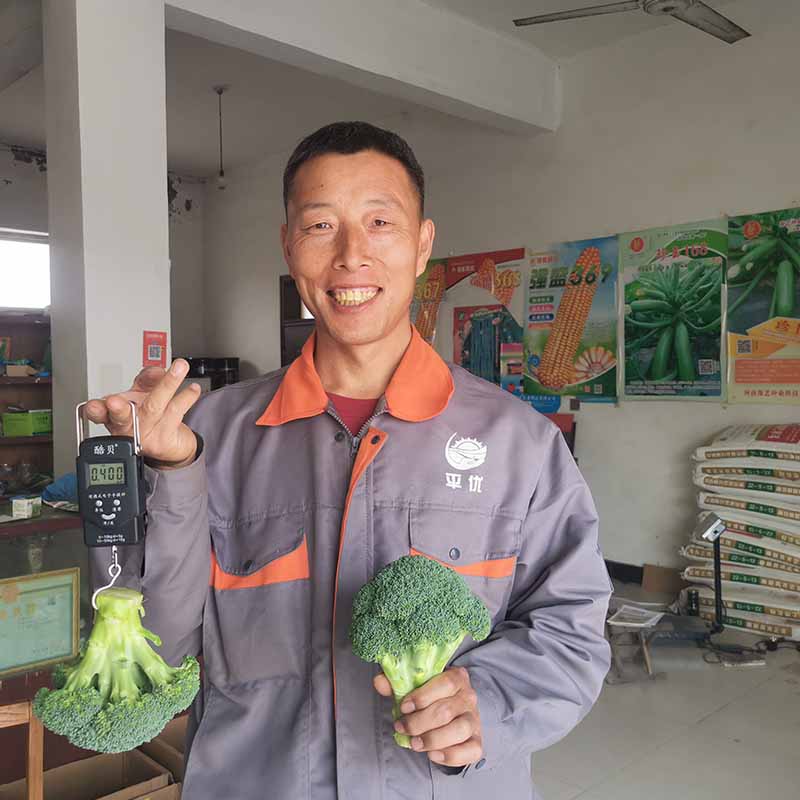 bb贝博艾弗森官方网站鲜绿