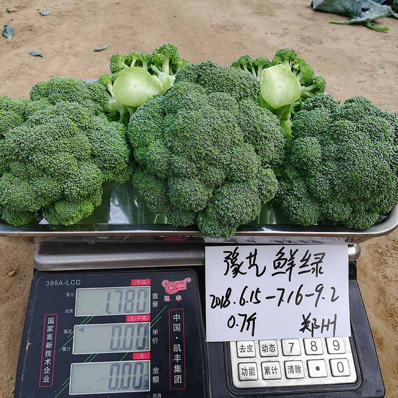 bb贝博艾弗森官方网站鲜绿