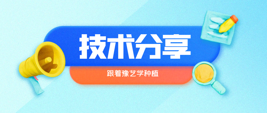 秋大棚辣椒、番茄育苗关键技术分享