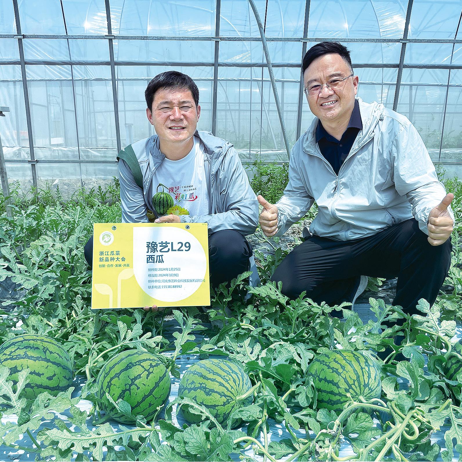bb贝博艾弗森官方网站L29